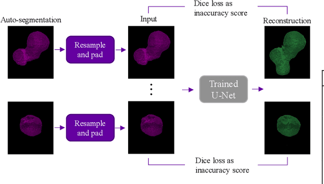 Figure 3 for Modality-Independent Explainable Detection of Inaccurate Organ Segmentations Using Denoising Autoencoders