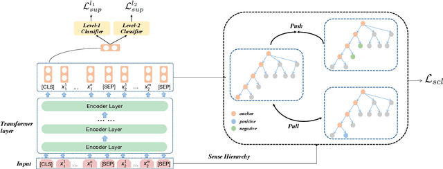 Figure 3 for Facilitating Contrastive Learning of Discourse Relational Senses by Exploiting the Hierarchy of Sense Relations