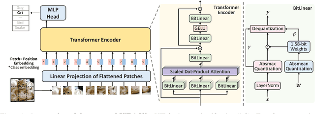 Figure 1 for ViT-1.58b: Mobile Vision Transformers in the 1-bit Era