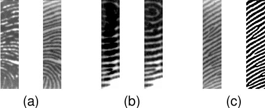 Figure 2 for PGT-Net: Progressive Guided Multi-task Neural Network for Small-area Wet Fingerprint Denoising and Recognition