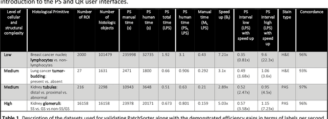 Figure 2 for PatchSorter: A High Throughput Deep Learning Digital Pathology Tool for Object Labeling