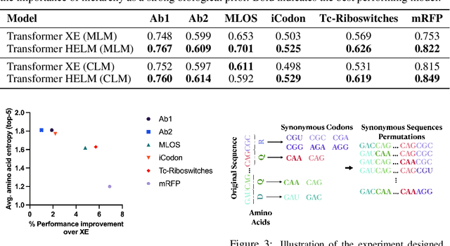 Figure 3 for HELM: Hierarchical Encoding for mRNA Language Modeling
