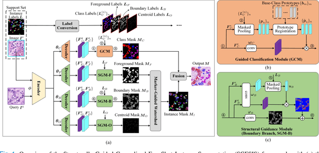 Figure 1 for Few-Shot Learning for Annotation-Efficient Nucleus Instance Segmentation