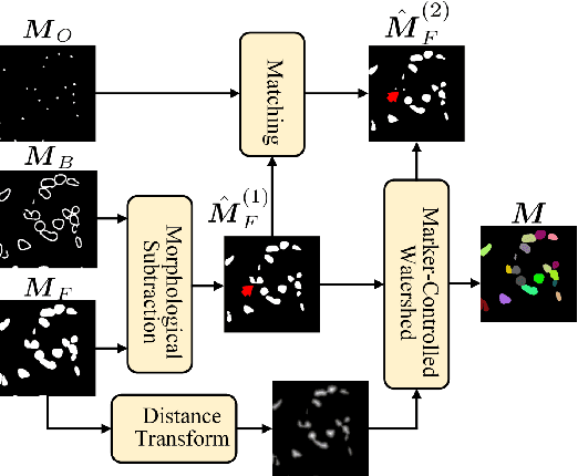 Figure 2 for Few-Shot Learning for Annotation-Efficient Nucleus Instance Segmentation