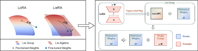 Figure 1 for Generalized Tensor-based Parameter-Efficient Fine-Tuning via Lie Group Transformations