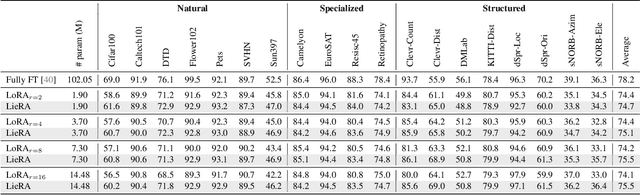 Figure 2 for Generalized Tensor-based Parameter-Efficient Fine-Tuning via Lie Group Transformations