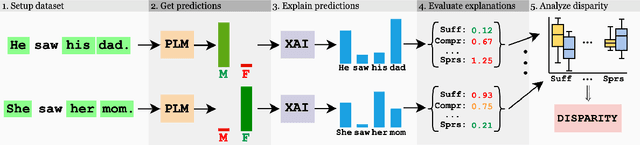 Figure 1 for Gender Bias in Explainability: Investigating Performance Disparity in Post-hoc Methods