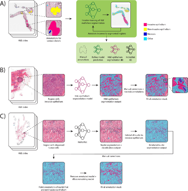 Figure 1 for A Multicentric Dataset for Training and Benchmarking Breast Cancer Segmentation in H&E Slides