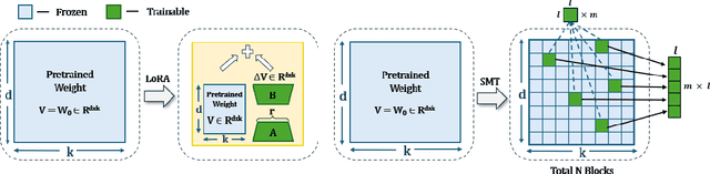 Figure 1 for Sparse Matrix in Large Language Model Fine-tuning