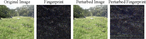 Figure 4 for General GAN-generated image detection by data augmentation in fingerprint domain
