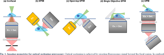Figure 1 for An open-source software package for on-the-fly deskewing and live viewing of volumetric lightsheet microscopy data