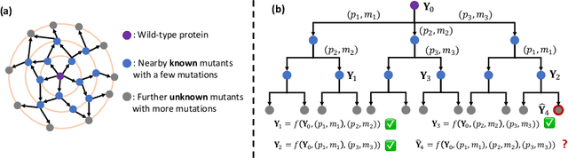 Figure 1 for EvolMPNN: Predicting Mutational Effect on Homologous Proteins by Evolution Encoding