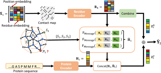 Figure 3 for EvolMPNN: Predicting Mutational Effect on Homologous Proteins by Evolution Encoding