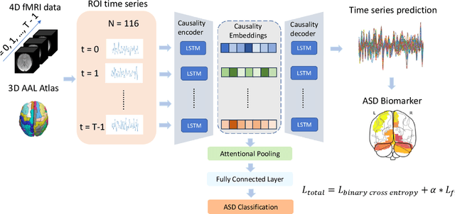 Figure 1 for Causal Modeling of fMRI Time-series for Interpretable Autism Spectrum Disorder Classification