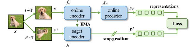 Figure 1 for FedCoCo: A Memory Efficient Federated Self-supervised Framework for On-Device Visual Representation Learning