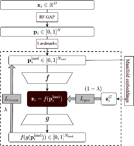 Figure 1 for Random Forest Autoencoders for Guided Representation Learning