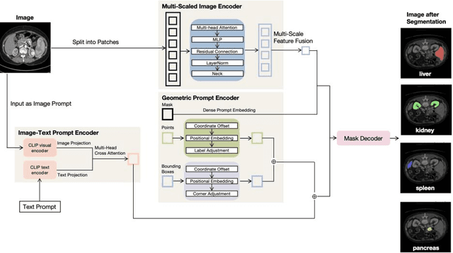 Figure 1 for Organ-aware Multi-scale Medical Image Segmentation Using Text Prompt Engineering