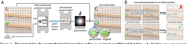 Figure 3 for Self-Supervised Learning of Motion Concepts by Optimizing Counterfactuals