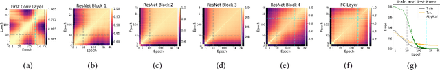 Figure 1 for How Does Perfect Fitting Affect Representation Learning? On the Training Dynamics of Representations in Deep Neural Networks