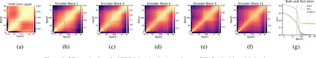 Figure 2 for How Does Perfect Fitting Affect Representation Learning? On the Training Dynamics of Representations in Deep Neural Networks