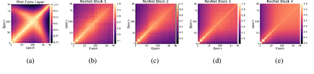 Figure 3 for How Does Perfect Fitting Affect Representation Learning? On the Training Dynamics of Representations in Deep Neural Networks