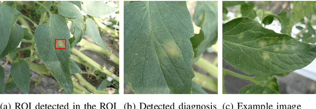 Figure 2 for Hierarchical Object Detection and Recognition Framework for Practical Plant Disease Diagnosis