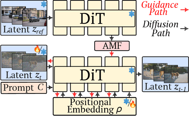 Figure 2 for Video Motion Transfer with Diffusion Transformers
