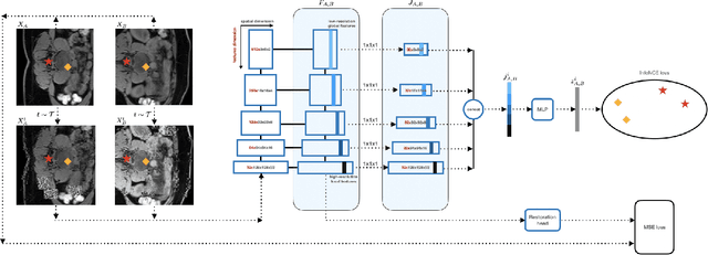 Figure 3 for Self-supervised Learning of Dense Hierarchical Representations for Medical Image Segmentation