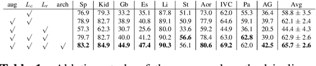 Figure 2 for Self-supervised Learning of Dense Hierarchical Representations for Medical Image Segmentation