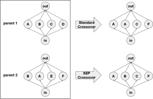 Figure 3 for Shortest Edit Path Crossover: A Theory-driven Solution to the Permutation Problem in Evolutionary Neural Architecture Search