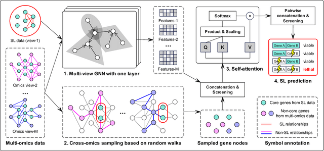 Figure 1 for Multi-omics Sampling-based Graph Transformer for Synthetic Lethality Prediction
