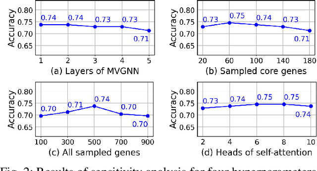 Figure 2 for Multi-omics Sampling-based Graph Transformer for Synthetic Lethality Prediction