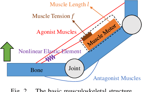 Figure 2 for Stability Recognition with Active Vibration for Bracing Behaviors and Motion Extensions Using Environment in Musculoskeletal Humanoids