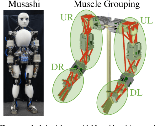 Figure 4 for Stability Recognition with Active Vibration for Bracing Behaviors and Motion Extensions Using Environment in Musculoskeletal Humanoids