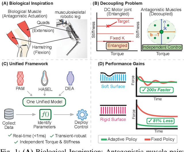 Figure 1 for Decoupling Torque and Stiffness: A Unified Modeling and Control Framework for Antagonistic Artificial Muscles