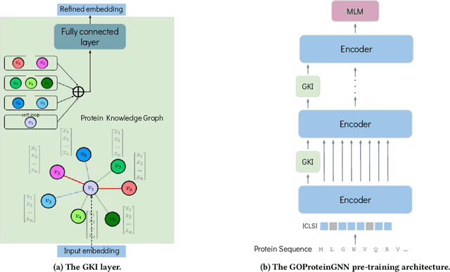 Figure 3 for GOProteinGNN: Leveraging Protein Knowledge Graphs for Protein Representation Learning