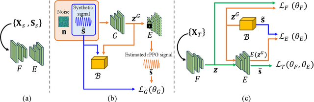 Figure 3 for Fully Test-Time rPPG Estimation via Synthetic Signal-Guided Feature Learning