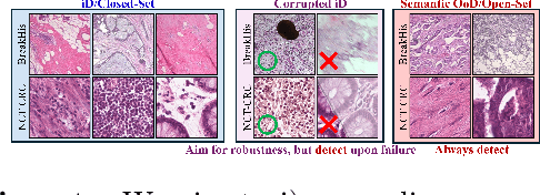 Figure 1 for Are We Ready for Out-of-Distribution Detection in Digital Pathology?