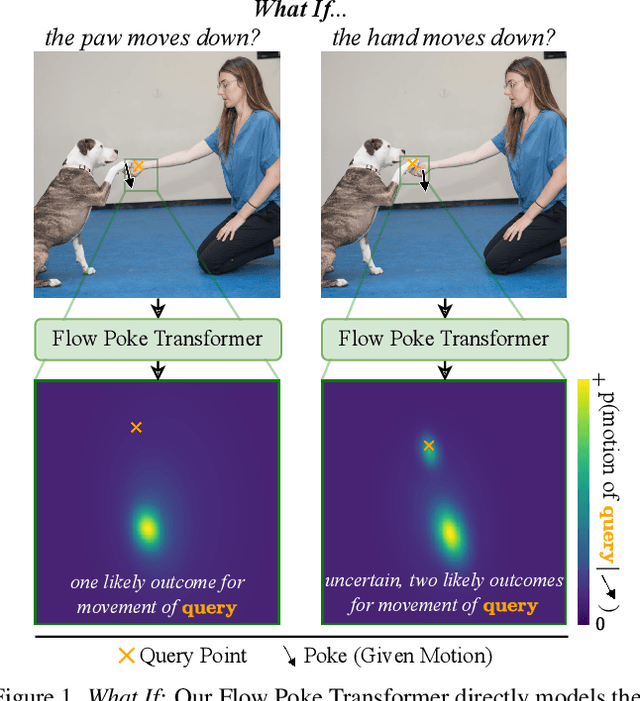 Figure 1 for What If : Understanding Motion Through Sparse Interactions