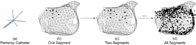Figure 3 for Patient-Specific Heart Model Towards Atrial Fibrillation