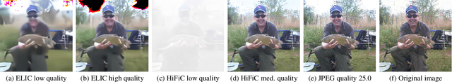 Figure 2 for Human Aligned Compression for Robust Models