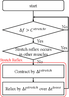Figure 2 for Applications of Stretch Reflex for the Upper Limb of Musculoskeletal Humanoids: Protective Behavior, Postural Stability, and Active Induction