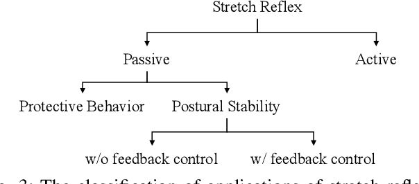 Figure 3 for Applications of Stretch Reflex for the Upper Limb of Musculoskeletal Humanoids: Protective Behavior, Postural Stability, and Active Induction