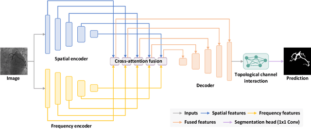 Figure 2 for SPIRONet: Spatial-Frequency Learning and Topological Channel Interaction Network for Vessel Segmentation