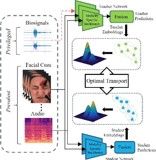 Figure 1 for Distilling Privileged Multimodal Information for Expression Recognition using Optimal Transport