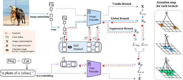 Figure 3 for MePT: Multi-Representation Guided Prompt Tuning for Vision-Language Model