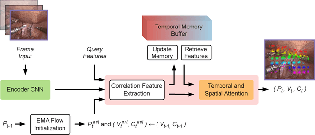 Figure 3 for LiteTracker: Leveraging Temporal Causality for Accurate Low-latency Tissue Tracking