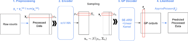 Figure 1 for Scalable Amortized GPLVMs for Single Cell Transcriptomics Data