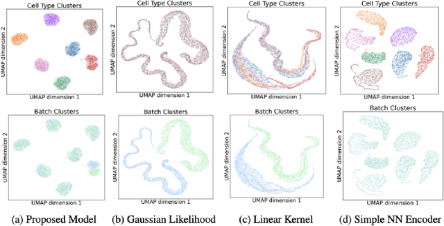 Figure 3 for Scalable Amortized GPLVMs for Single Cell Transcriptomics Data