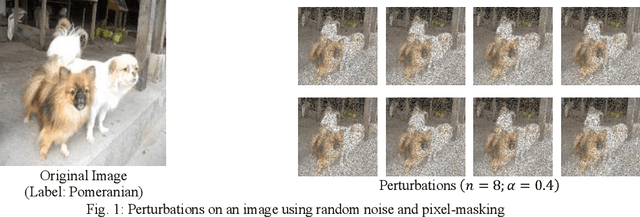 Figure 1 for Integrative CAM: Adaptive Layer Fusion for Comprehensive Interpretation of CNNs